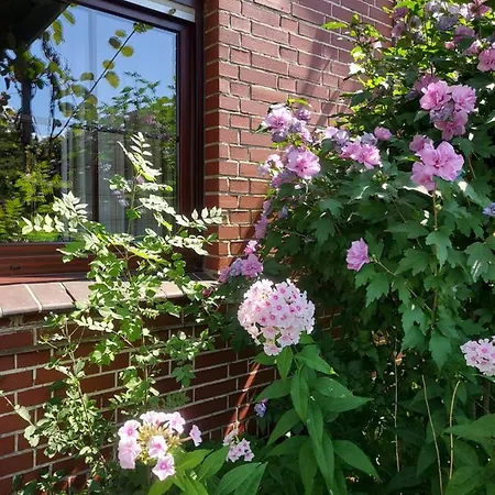 Kiek Mol Rin - Richmanns Apartment Hude (Diepholz)